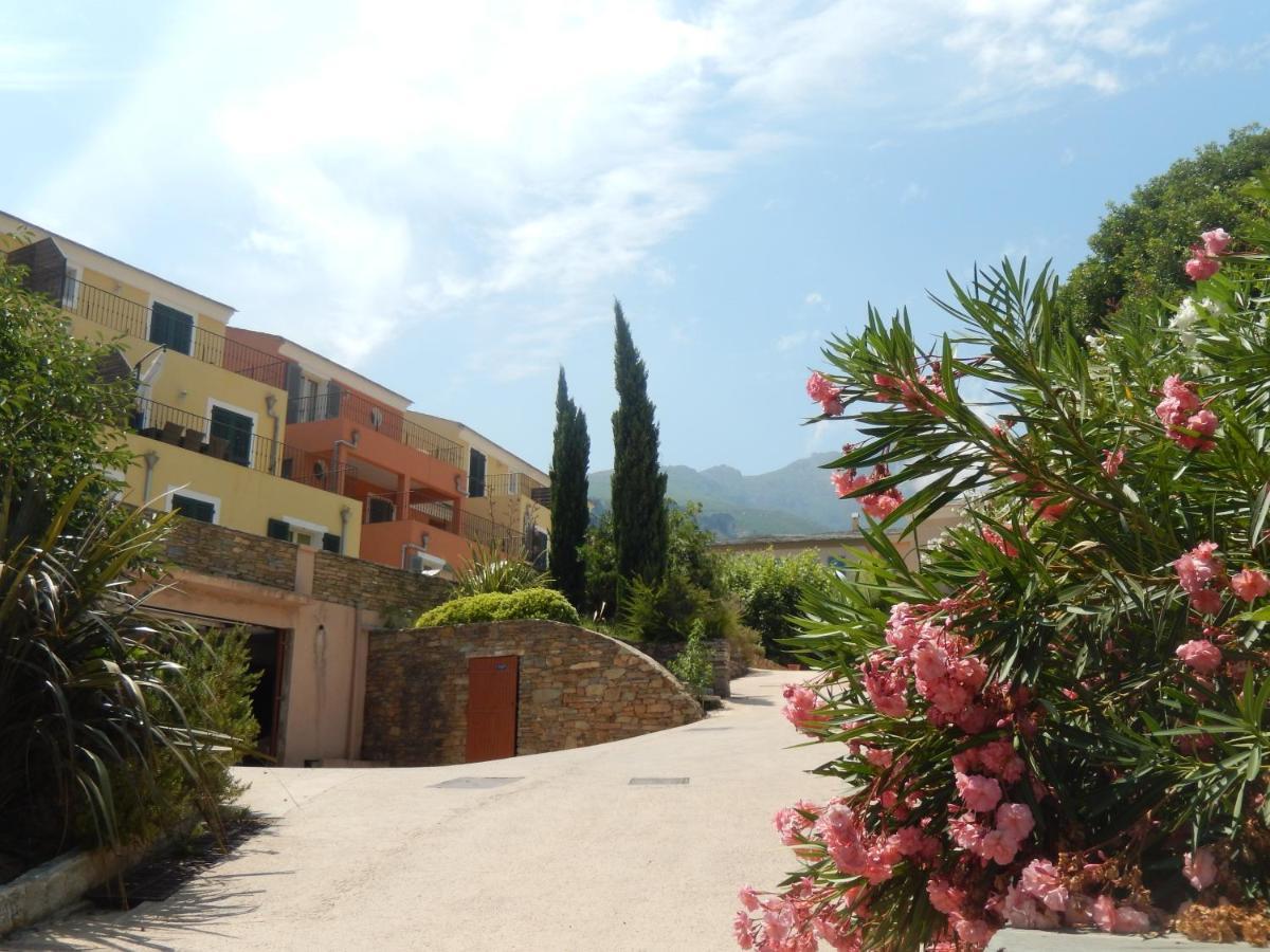 Erbalunga - Residence Les Bosquets - Cap Corse Location Brando Exterior photo